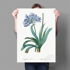 Affiche fond blanc fleurs bleue