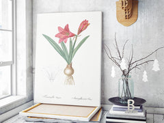 Affiche fond blanc fleurs rose