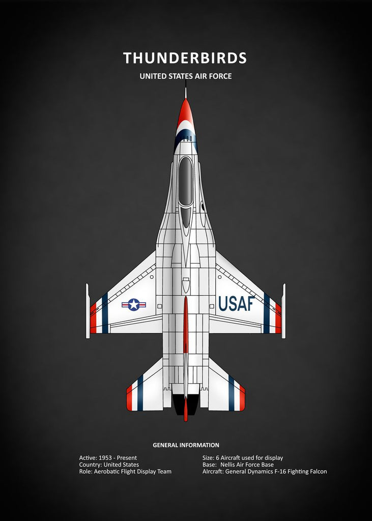 Affiche vintage avion UAF