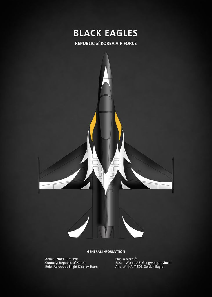 Affiche vintage avion black eagles