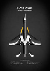 Affiche vintage avion black eagles