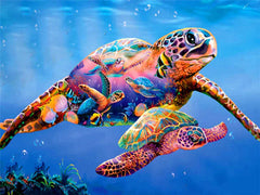Cadre dessin tortue