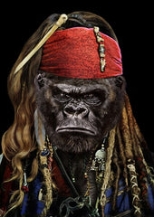 Cadre retro singe rasta