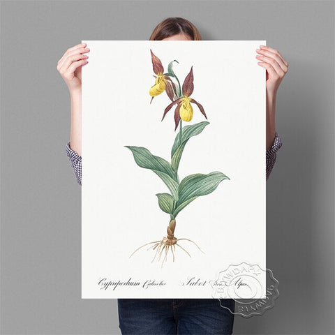 Affiche fond blanc fleur jaune et rouge feuille verte