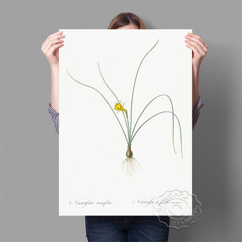 Affiche fond blanc fleur jaune fine feuille