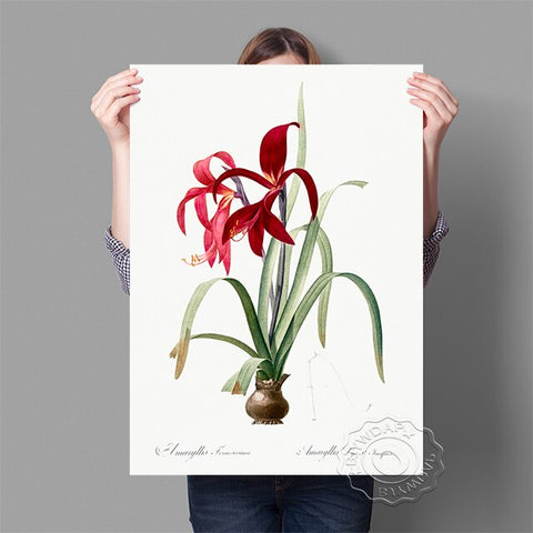 Affiche fond blanc fleur rouge et vert