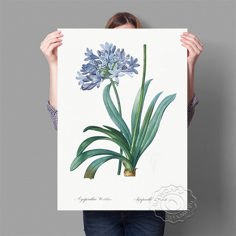 Affiche fond blanc fleur tropicale bleue