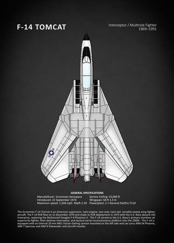 Affiche vintage avion tomcat