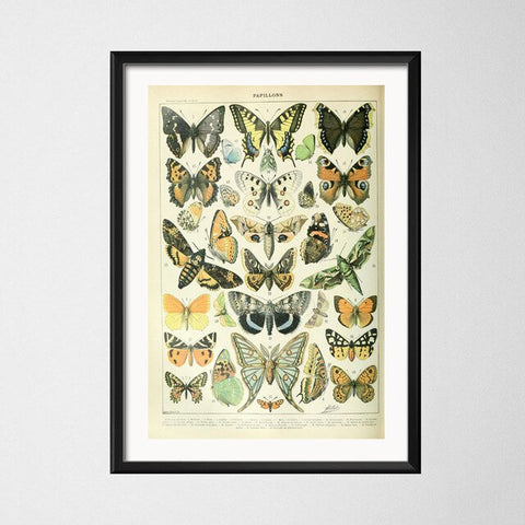Cadre vintage sorte papillon