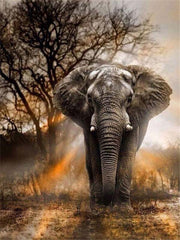 Tableau peinture réaliste éléphant arbre noir