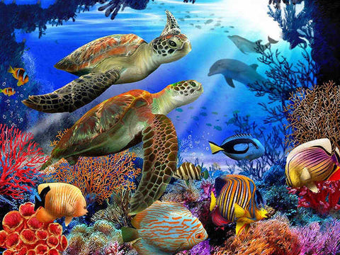 Tableau photo deux tortues